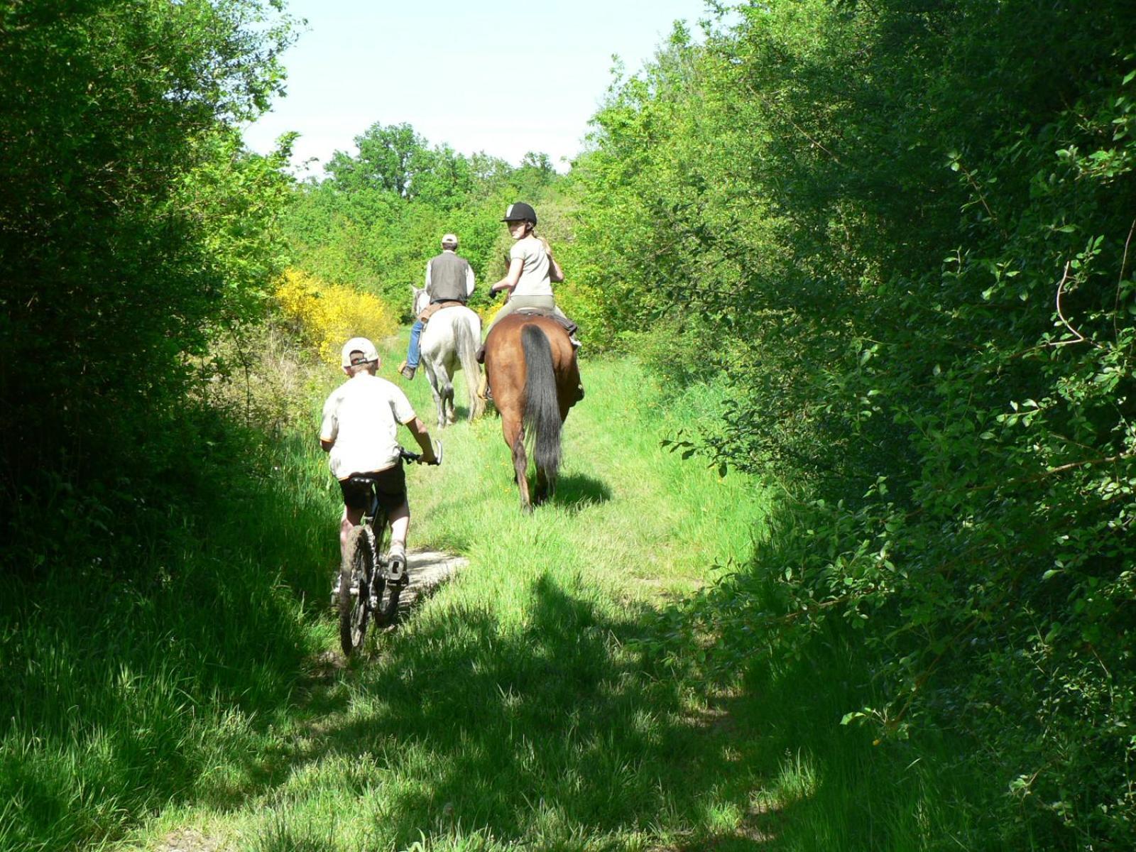 Les Pres Du Petit Morlu - Proche Beauval Villa Saint-Romain-sur-Cher ภายนอก รูปภาพ