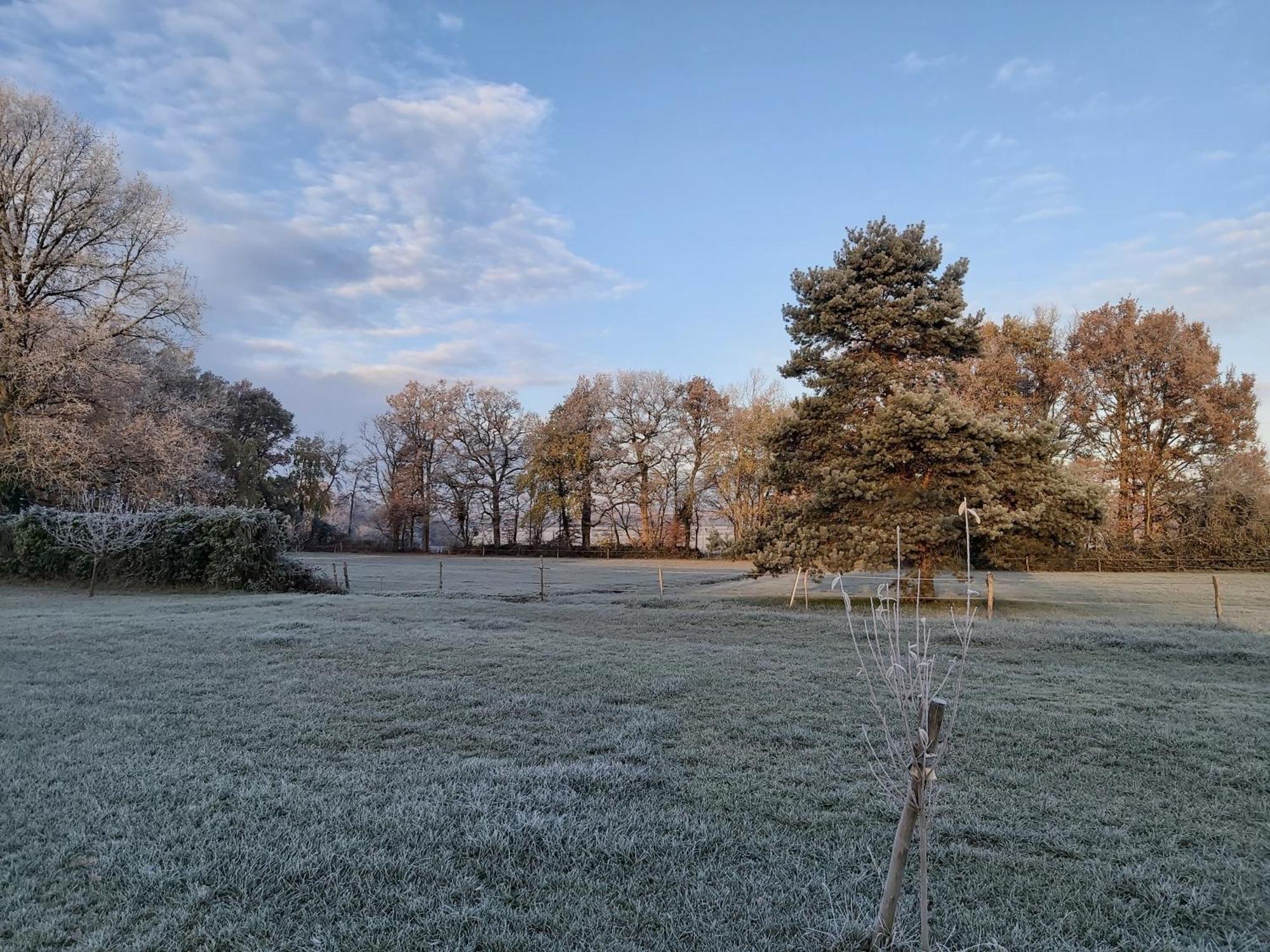 Les Pres Du Petit Morlu - Proche Beauval Villa Saint-Romain-sur-Cher ภายนอก รูปภาพ